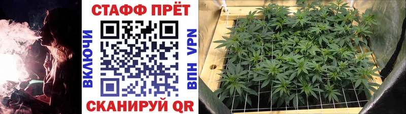 Что такое Урюпинск Конопля МЕФ КЕТАМИН Гашиш Кокаин Галлюциногенные грибы