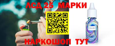 амф Камышлов