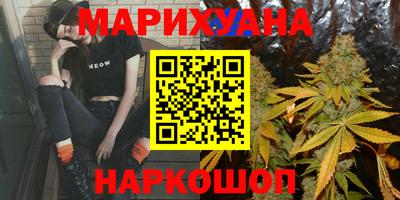 амф Камышлов