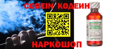 амф Камышлов