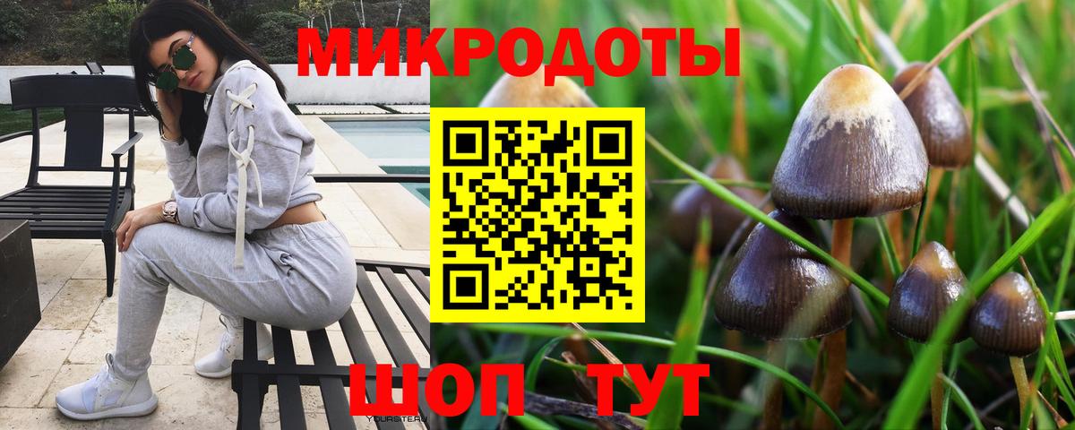 Псилоцибиновые грибы Cubensis Урюпинск